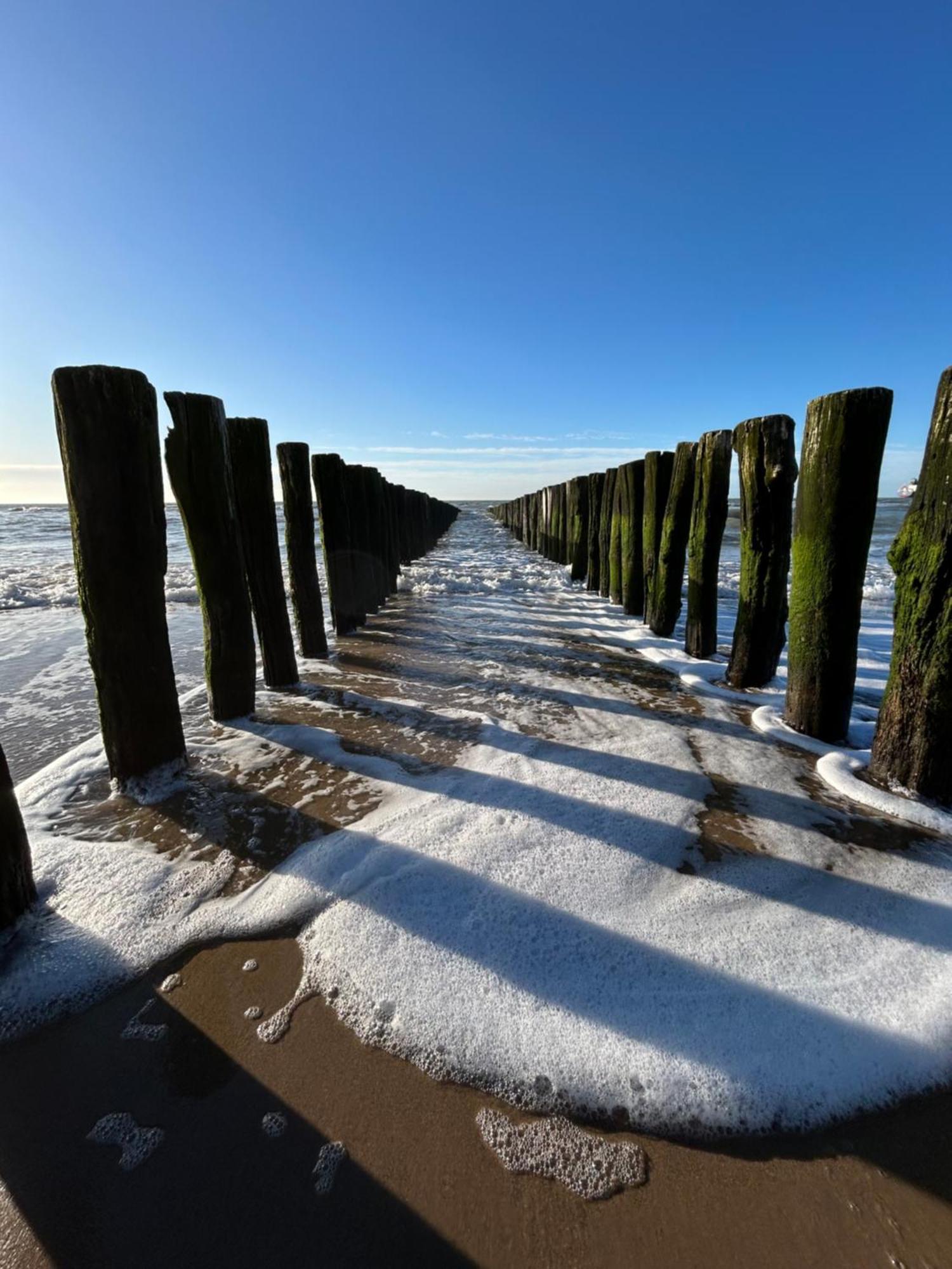 De Zilten Kaemer Zoutelande Bagian luar foto