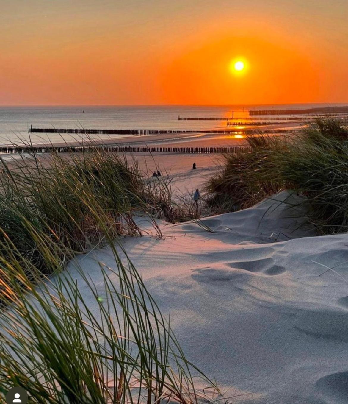 De Zilten Kaemer Zoutelande Bagian luar foto