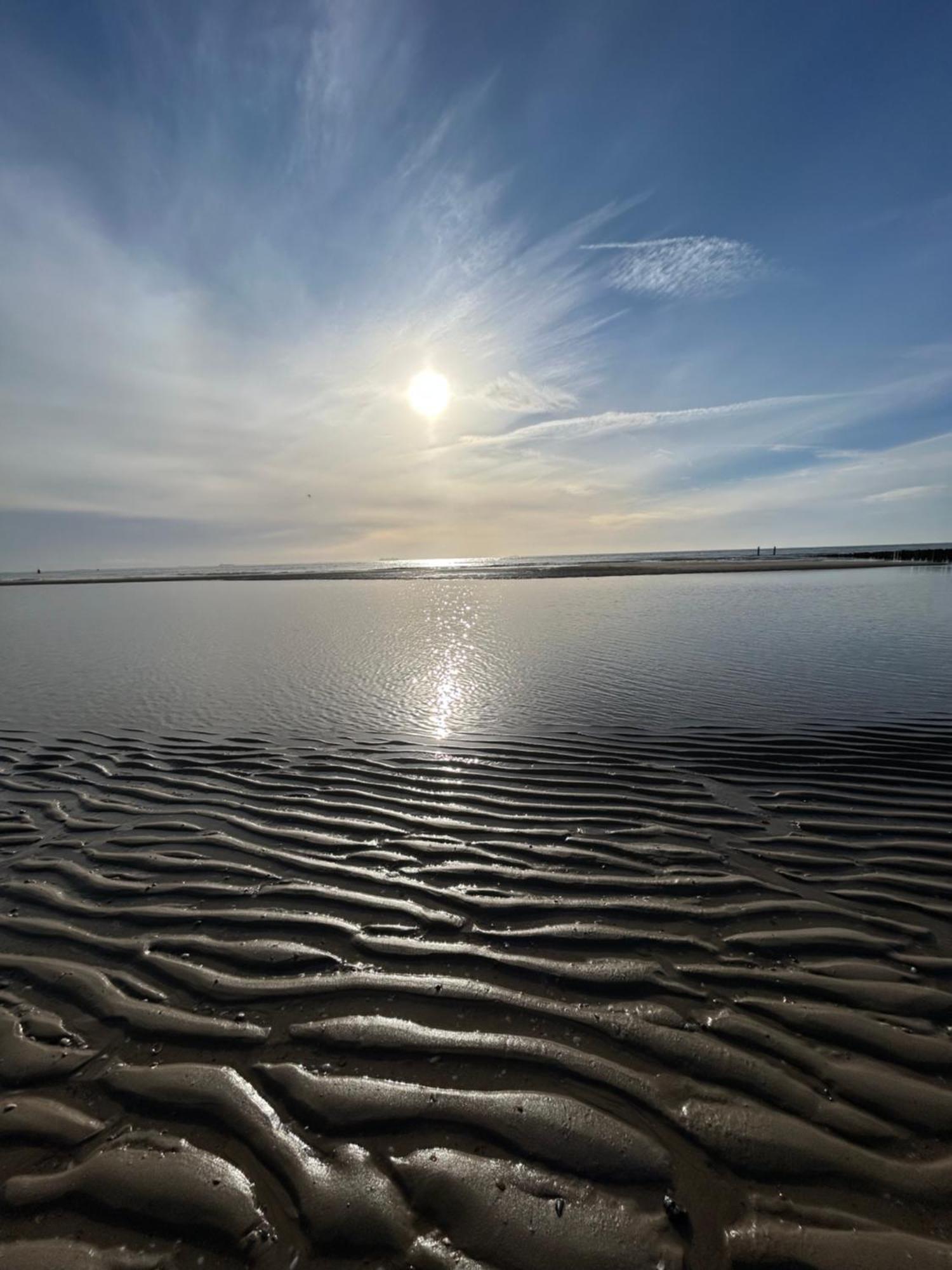 De Zilten Kaemer Zoutelande Bagian luar foto